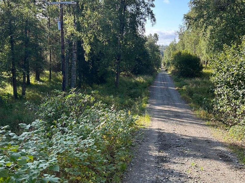 4 Acres in Sterling : Soldotna : Kenai Peninsula Borough : Alaska