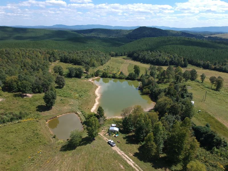 Cattle Farm 81 Acres : Piedmont : Cherokee County : Alabama