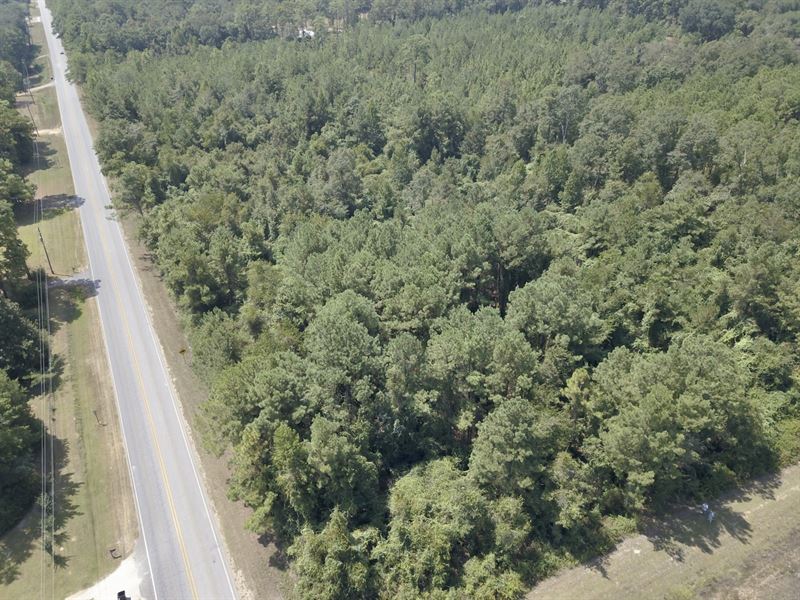 Celeste Rd 7.63 Acres Chunchula : Chunchula : Mobile County : Alabama