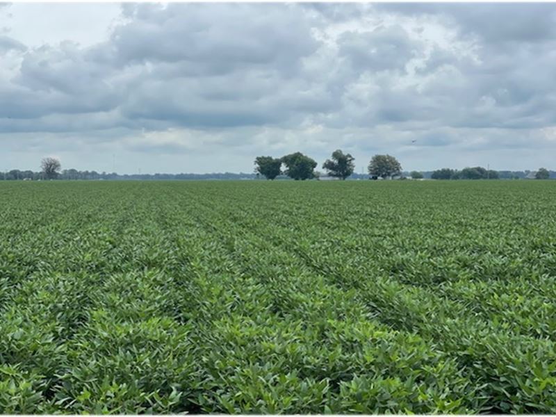 32 Acres in Bolivar County in Cleve : Cleveland : Bolivar County : Mississippi