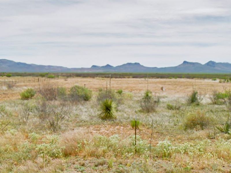 90-Day Same as Cash, $350 : Douglas : Cochise County : Arizona
