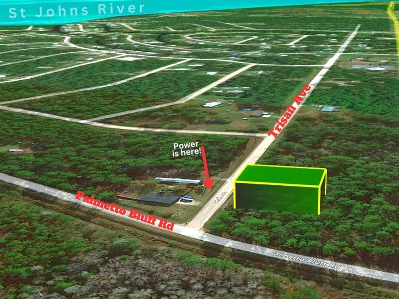 Prime Investment Opportunity : Palatka : Putnam County : Florida