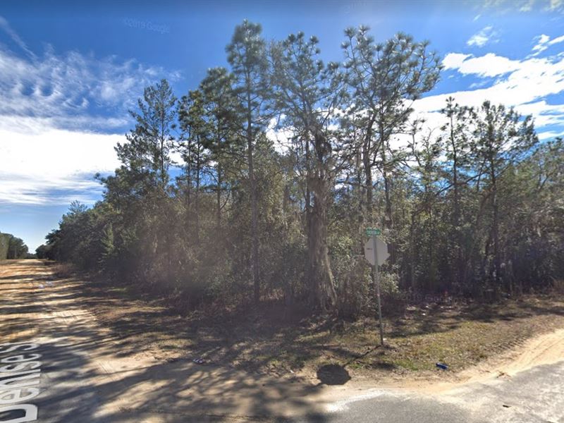 Ideal Vacation or Permanent Home : Interlachen : Putnam County : Florida