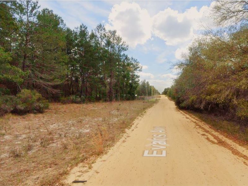 Manufactured or Mobile Home Living : Interlachen : Putnam County : Florida