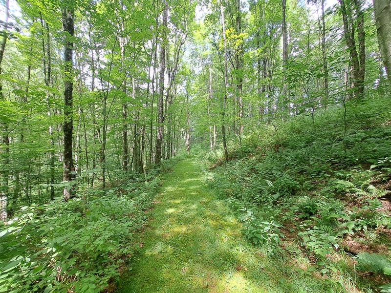 State Line Gem : Hoosick : Rensselaer County : New York