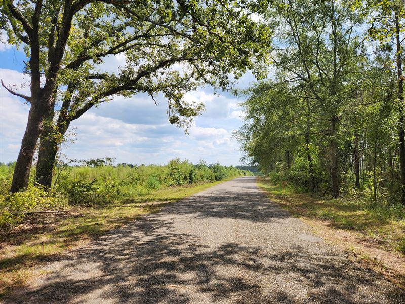 North Upson County Home Sites : Meansville : Upson County : Georgia