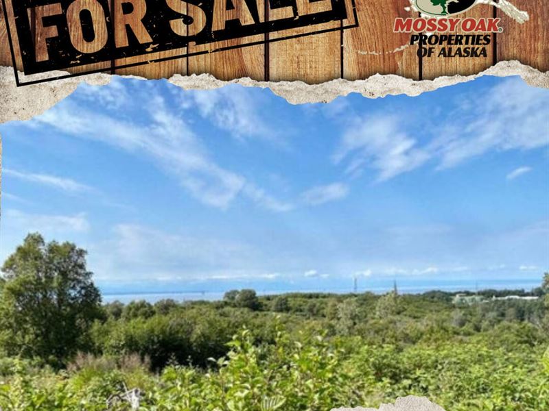 Corner Lot 1.97 Acre with View : Nikiski : Kenai Peninsula Borough : Alaska