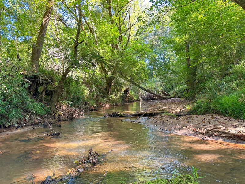 27.75 Acres Harris County : West Point : Harris County : Georgia