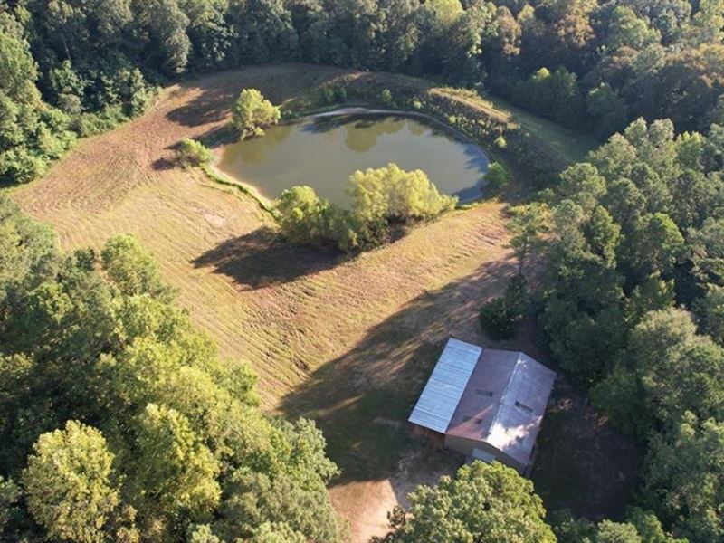 Hunting Land for Sale in Natchez : Natchez : Adams County : Mississippi