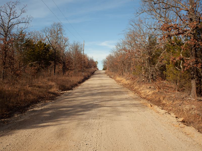 Treed Lake Eufaula Land, Water : Longtown : Pittsburg County : Oklahoma