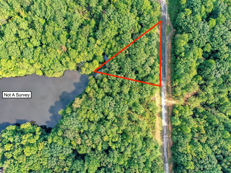 Indian Lake Property : Cedar Grove : Carroll County : Tennessee