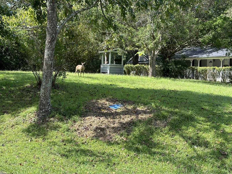 Investment Opportunity : Dallas : Paulding County : Georgia