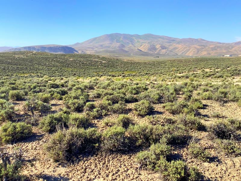 Homesite with Mountain Views : Ryndon : Elko County : Nevada
