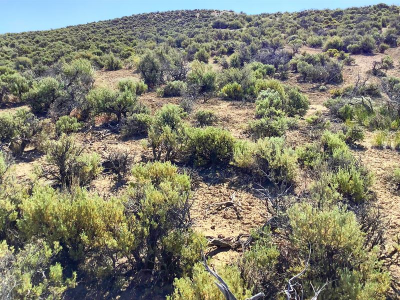 Recreational Land To Live Off-Grid : Ryndon : Elko County : Nevada