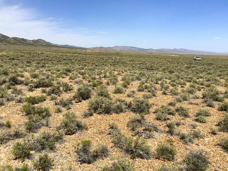Build Your Dream Home in Nevada : Elko : Elko County : Nevada