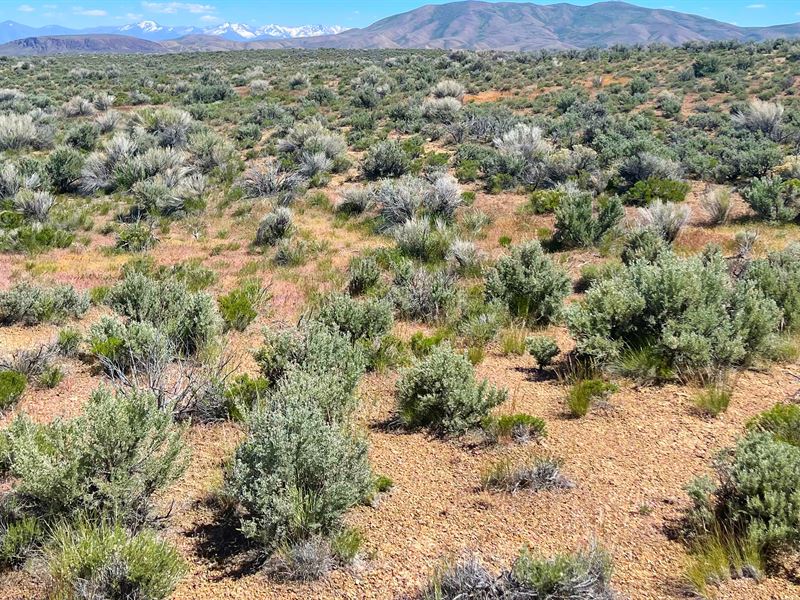 Perfect Campsite Location : Elko : Elko County : Nevada