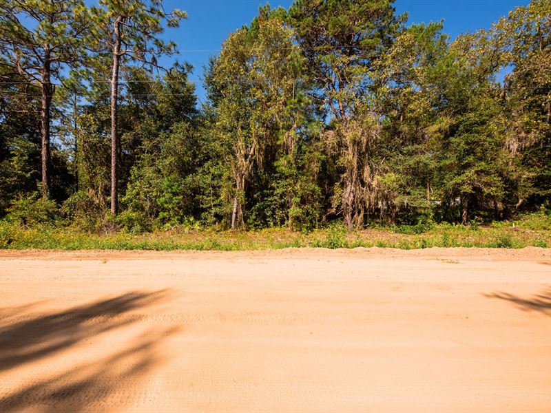 Calling Lake Lovers : Interlachen : Putnam County : Florida