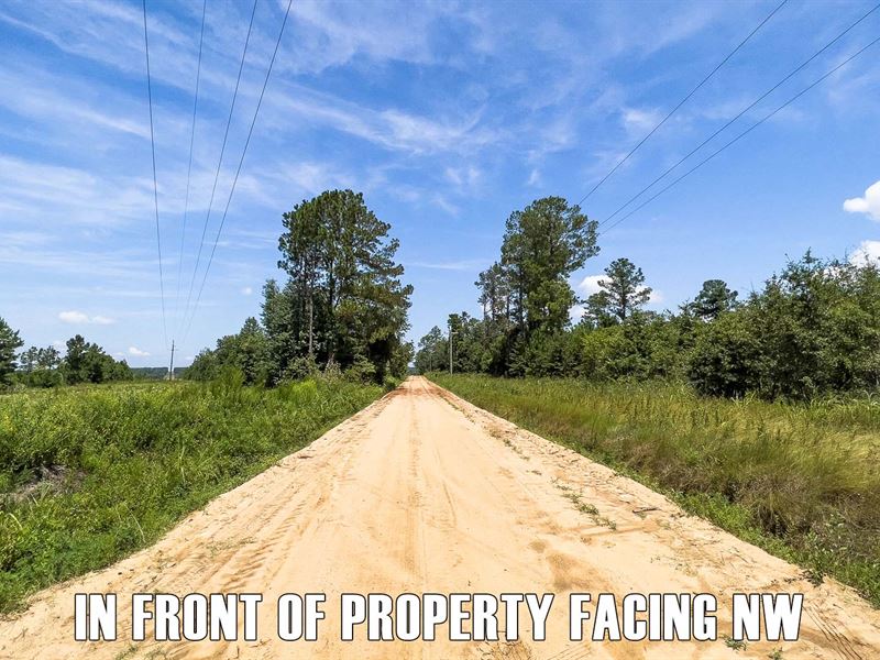 40 Acres Vacant Land in Eastman, GA : Eastman : Dodge County : Georgia