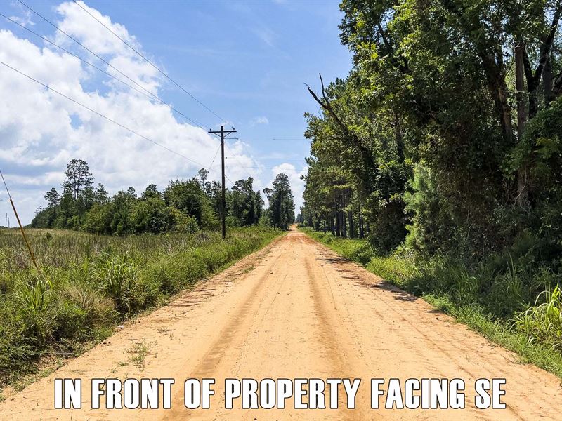 20 Acres Vacant Land in Eastman, GA : Eastman : Dodge County : Georgia