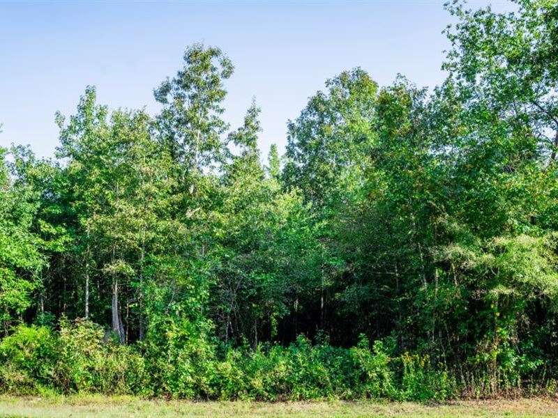 Sherwood 4 : Sherwood : Pulaski County : Arkansas