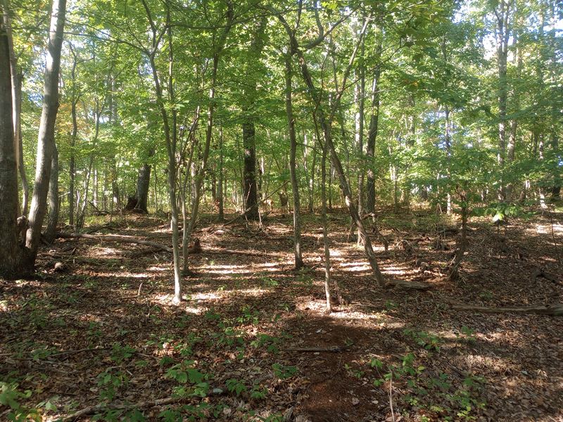 Rd Frontage, Hardwoods, Level : Soddy Daisy : Hamilton County : Tennessee