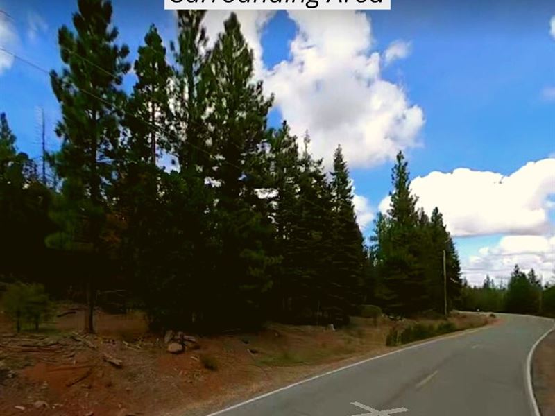 1.17 Acres Only $1 Down, $299/Mo : Alturas : Modoc County : California