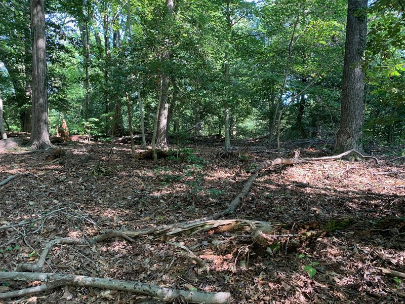 Near Marina & Boat Ramp : Lusby : Calvert County : Maryland