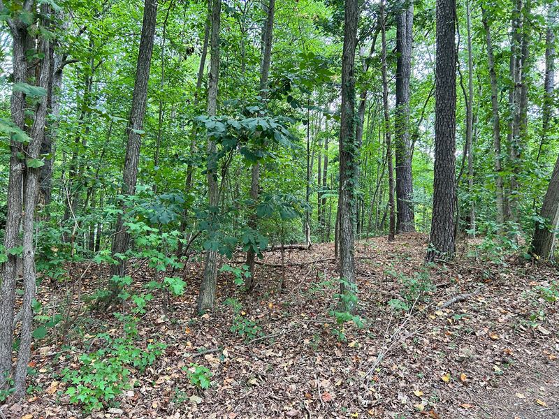 Steps to Beach & Chesapeake : Lusby : Calvert County : Maryland