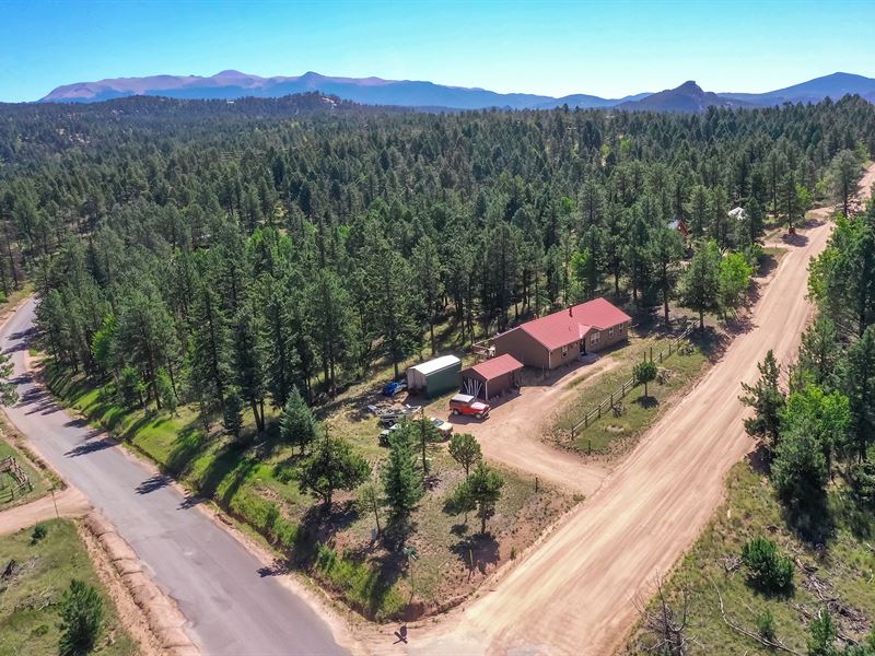 Home for Auction in Florissant, CO : Florissant : Teller County : Colorado