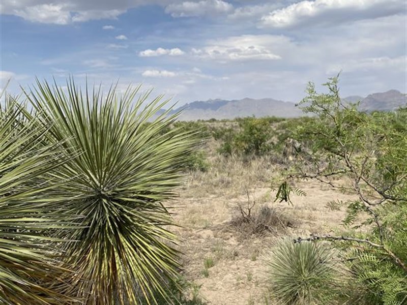 Opportunity As Big As The Sky : Deming : Luna County : New Mexico