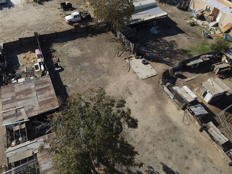 Timeless Beauty, Own It Now : Bakersfield : Kern County : California
