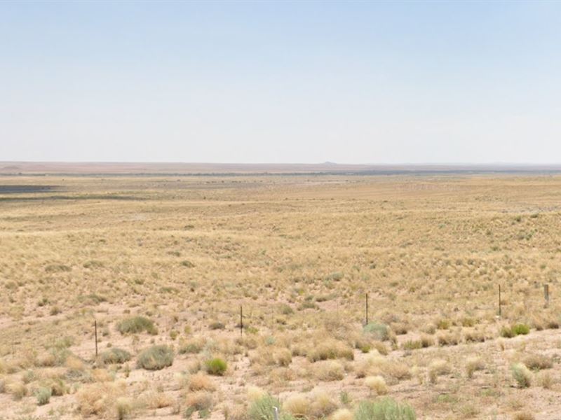 .28 Acre Canvas Yours to Craft : Holbrook : Navajo County : Arizona