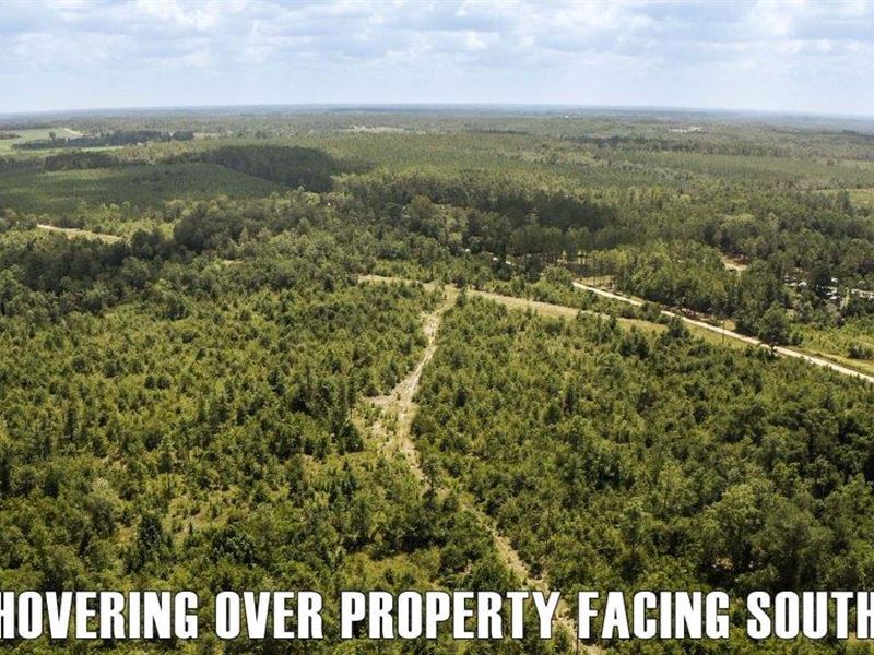 Rozar Farms : Eastman : Dodge County : Georgia