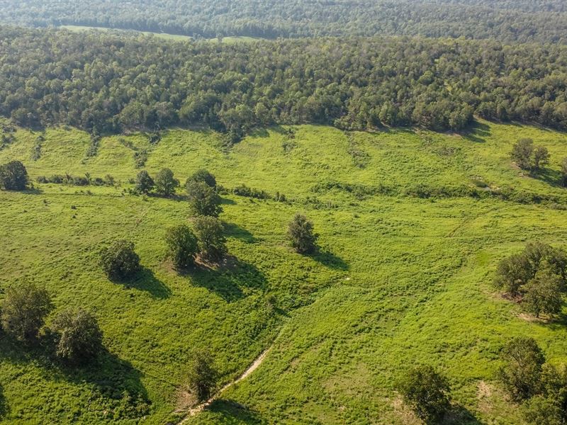 120 Acres in The Missouri Ozarks : Theodosia : Ozark County : Missouri