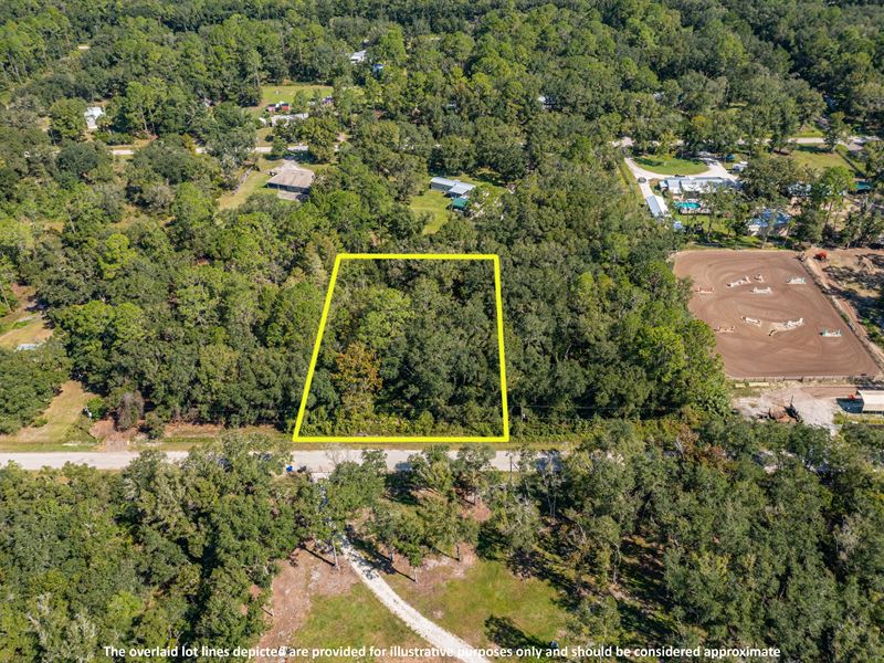 Prime Vacant Lot, St. John's County : Hastings : Saint Johns County : Florida