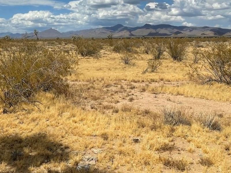 High Desert Near Mountain Views : Dolan Springs : Mohave County : Arizona