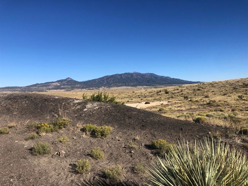 33 Tioga Ranch, Walsenburg, Co 8108 : Walsenburg : Huerfano County : Colorado