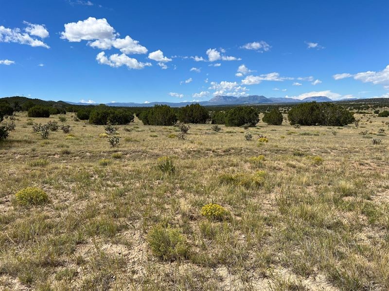 Lot 82 County Road 340, Walsenburg : Walsenburg : Huerfano County : Colorado