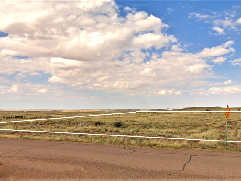 Build, Farm or Ranch : Sun Valley : Navajo County : Arizona