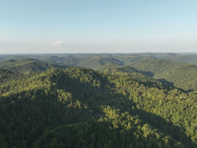 197 Acres in Mingo County, WV : Breeden : Mingo County : West Virginia