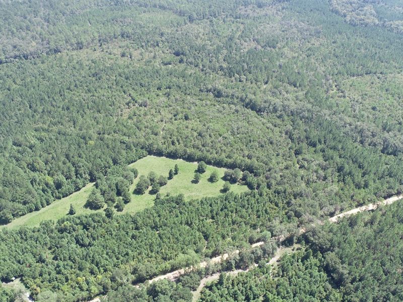 Pole Branch, Tract 2 : Brooklet : Bulloch County : Georgia