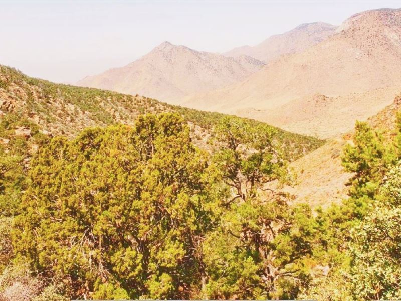Privacy and Peace Awaits You : Dolan Springs : Mohave County : Arizona