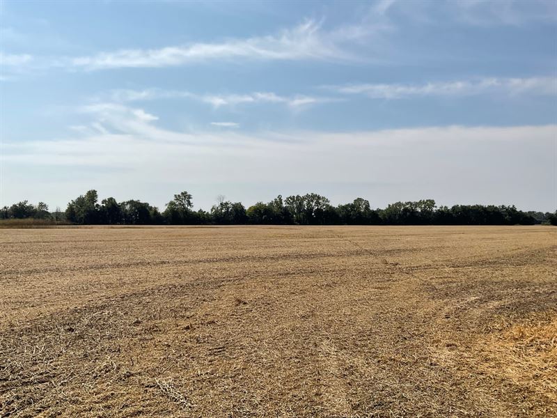 Crum Road Farm : Clarksdale : Coahoma County : Mississippi