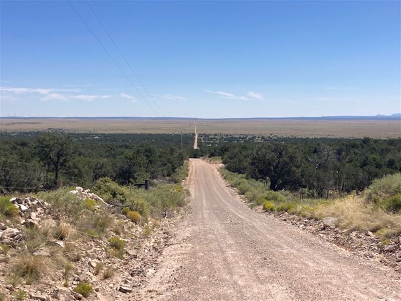 Affordable Hunting Ranch : Mountainair : Torrance County : New Mexico