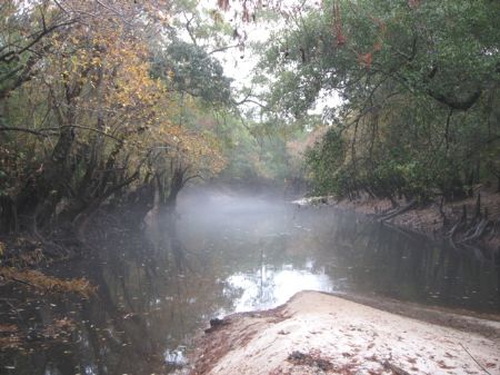 Alapaha River Tract : Alapaha : Berrien County : Georgia