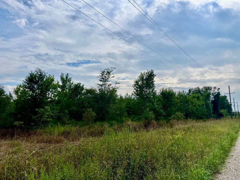 50 Acres Turn Key Hunting Tract : Saint Joseph : Tensas Parish : Louisiana