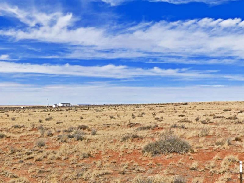 Land Awaits in Rural Arizona : Holbrook : Navajo County : Arizona