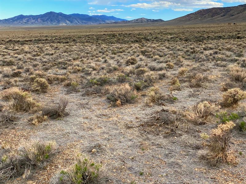 Home Of Sunsets & Mountains : Montello : Elko County : Nevada