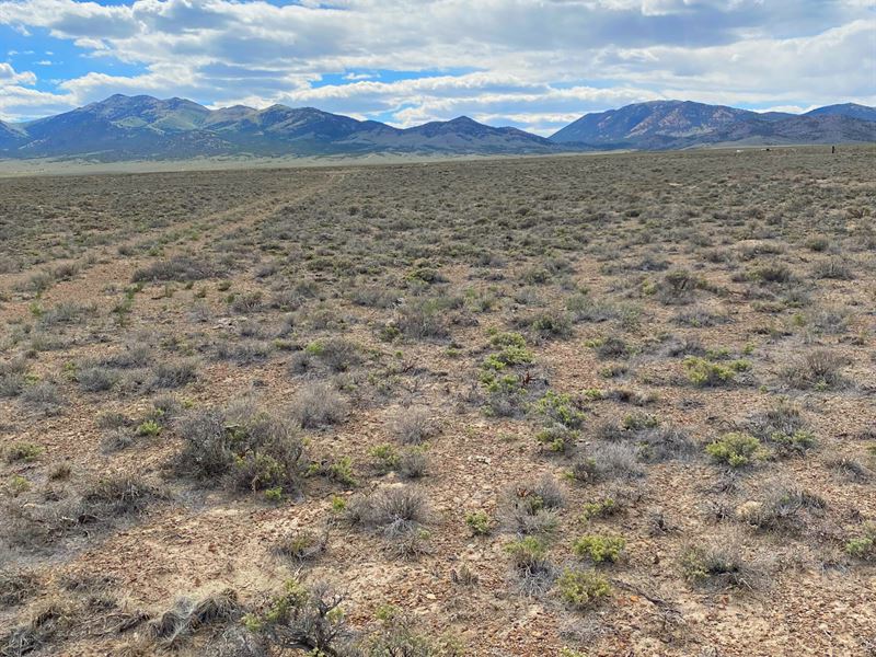 Invest in Your New Rural Home : Elk : Elko County : Nevada