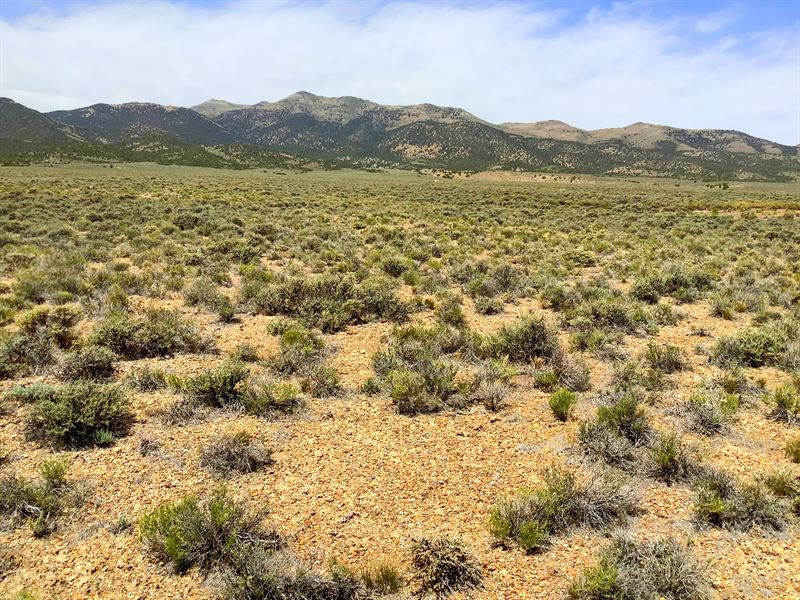Build Your Dream Home in Nevada : Elko : Elko County : Nevada